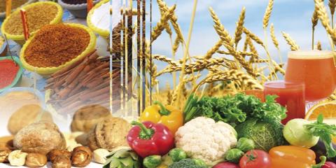 Agro industrie