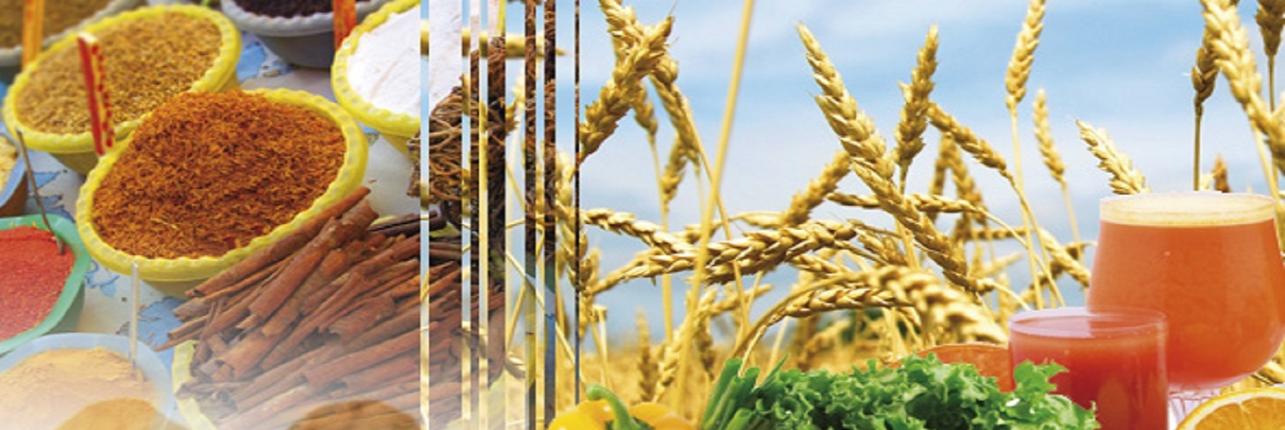 Agro industrie